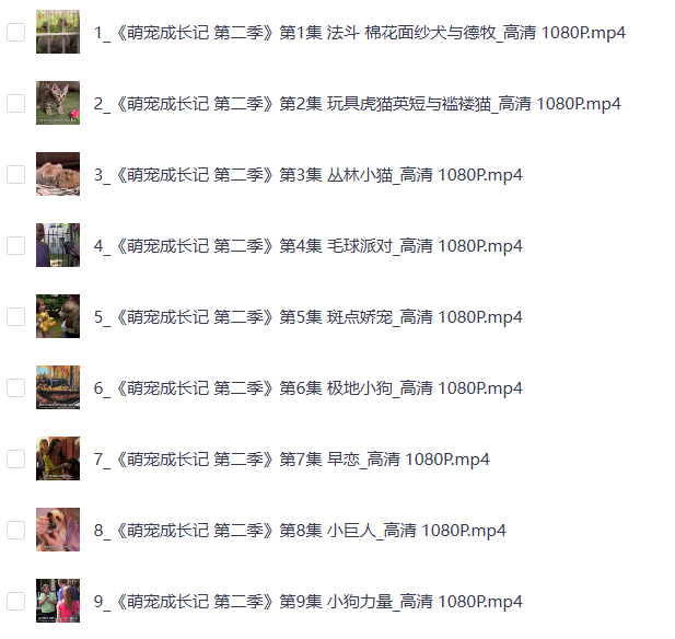 央视力荐儿童纪录片《萌宠成长记》1-3季1080P 英语 中英双字 儿童启蒙佳片 25G