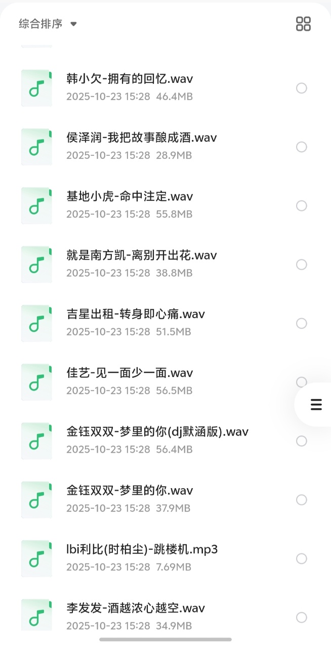 花了399买来的，2025年10月份全网热门流行歌曲无损合集