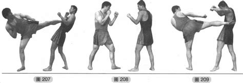 武术教程分享武术、泰拳、擒拿格斗散打、咏春拳教程、自由搏击散打技法