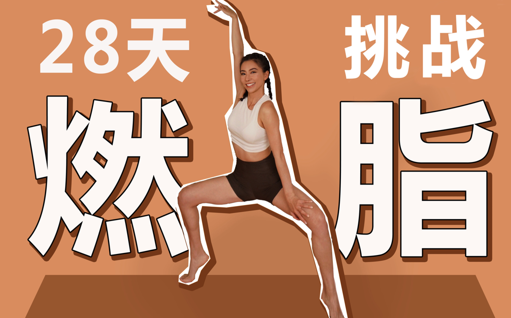 周六野28天减肥训练营【5.82G】